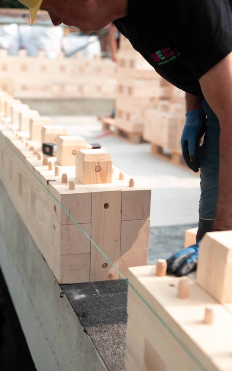 Bauen mit Holz in Frankfurt: Dort wurde ein Einfamilienhaus als unser Pilotprojekt mithilfe der TRIQBRIQ Holzbausysteme als Holzbau ohne Leim realisiert.