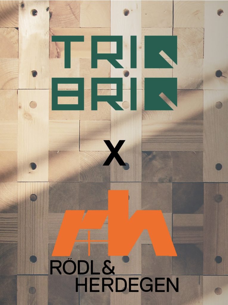 Social Media Template Rödl