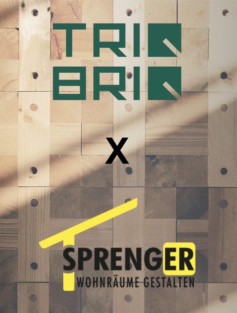 Social Media Template Sprenger